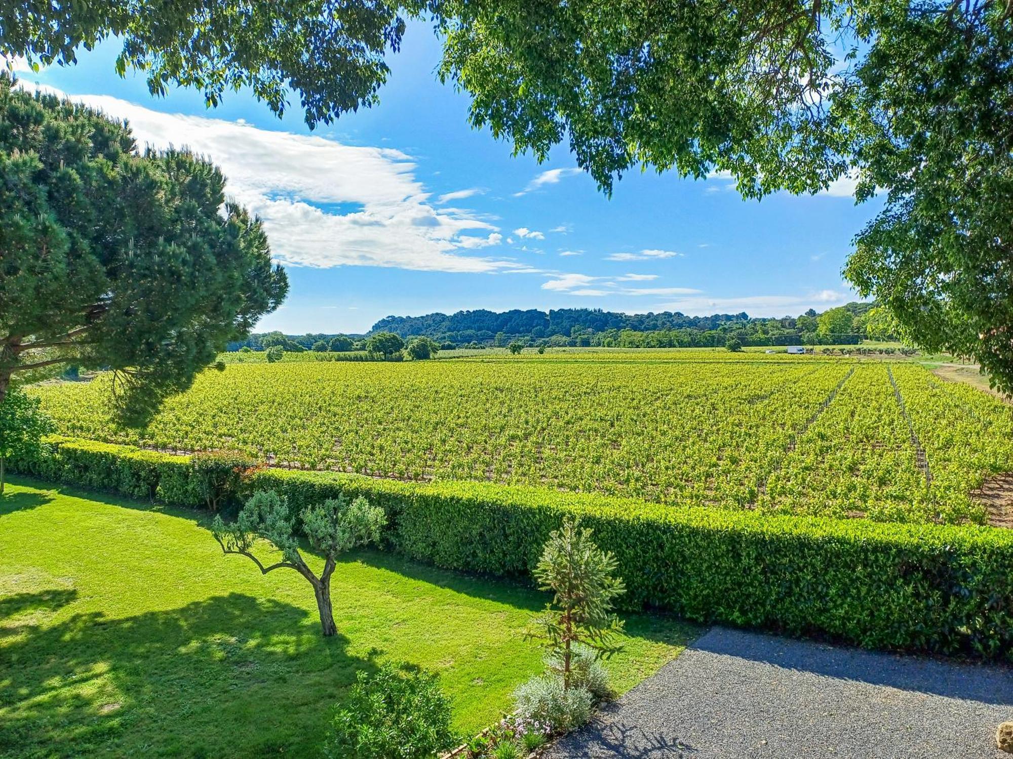 Domaine La Mouline Pézenas Exteriér fotografie