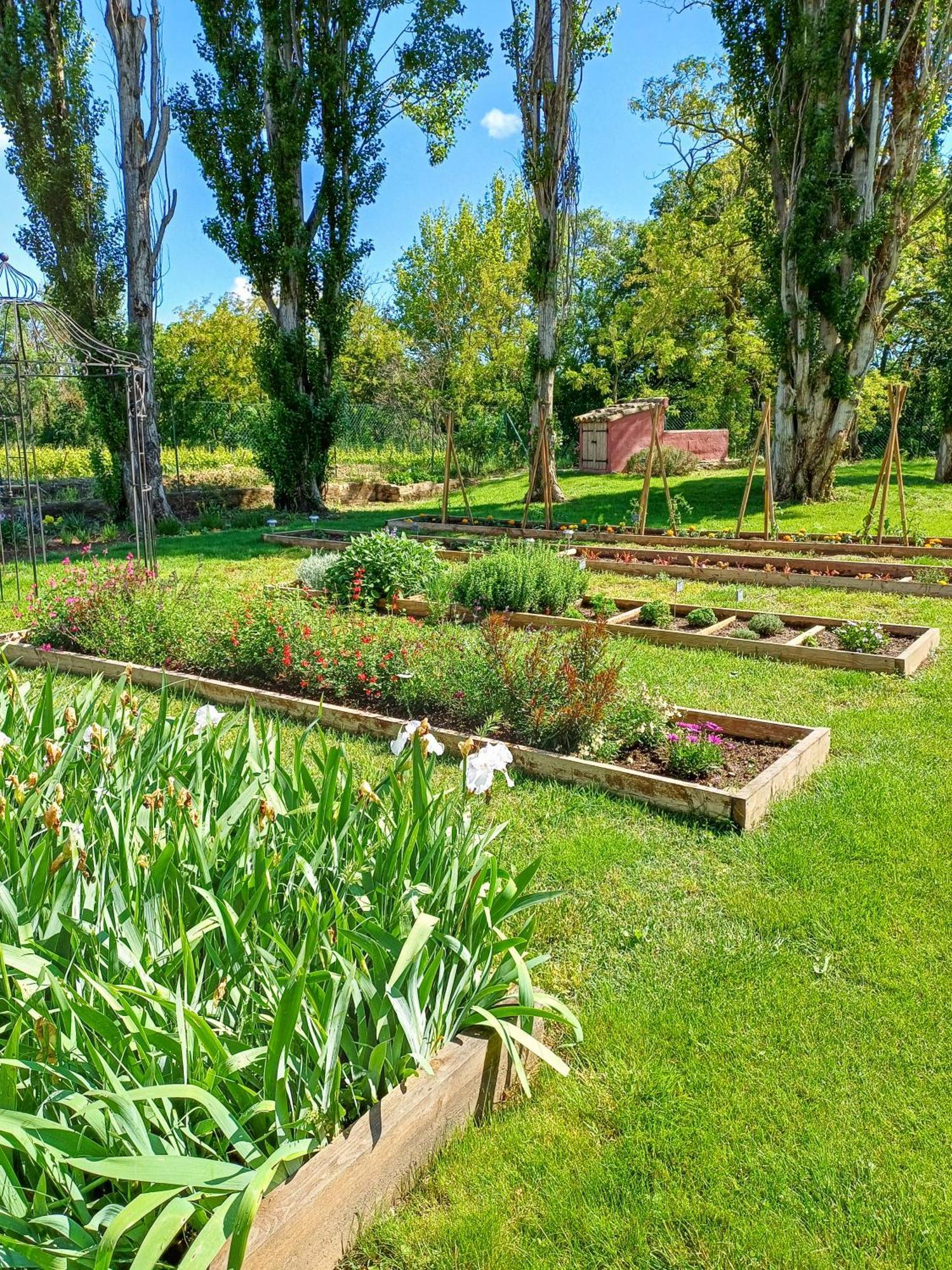 Domaine La Mouline Pézenas Exteriér fotografie